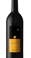 Áster Finca El Otero 2009