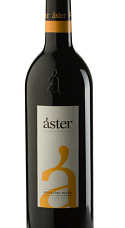 Áster Reserva 2004