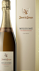 Juvé & Camps Milesimé Chardonnay 2018 con Estuche