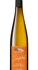 Schieferkopf Riesling Via Saint Jacques 2018